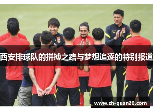 西安排球队的拼搏之路与梦想追逐的特别报道